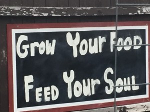 Grow your food